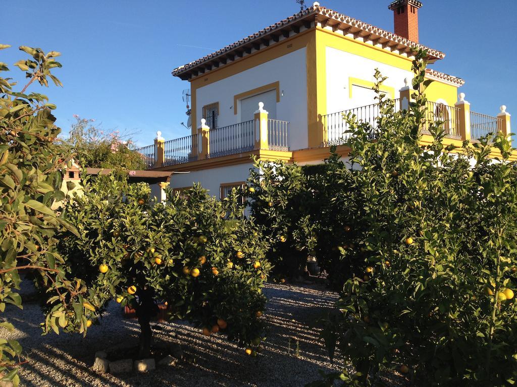 Alojamiento Colina Del Sol Torrox Bagian luar foto